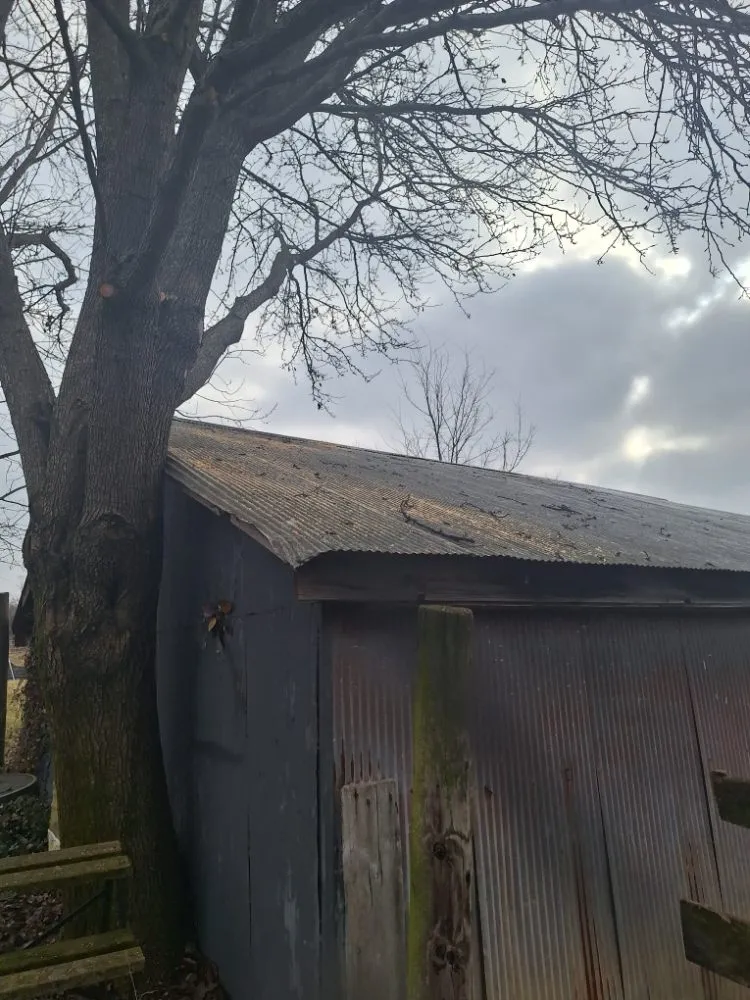 Trusted lawn care service near you across Shelbyville, KY - Ambition Tree Service And Landscaping