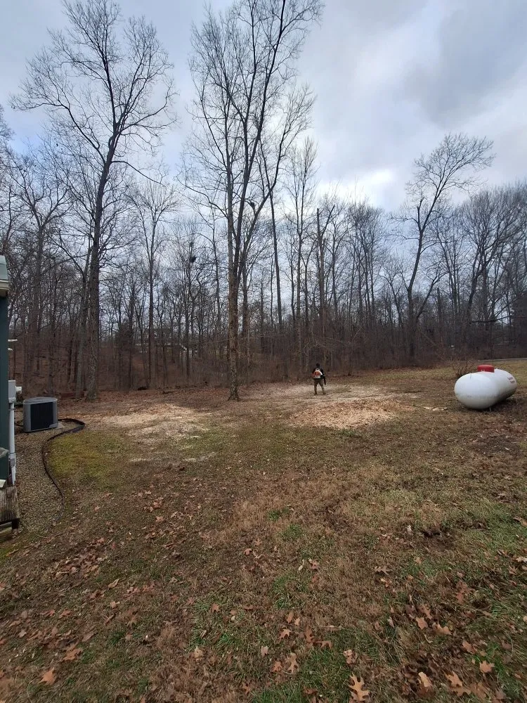 Expert residential landscaping in Shelbyville, KY by Ambition Tree Service And Landscaping