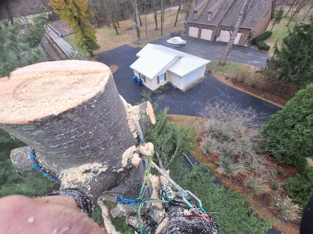 Reliable residential landscaping experts serving Shelbyville, KY - Ambition Tree Service And Landscaping