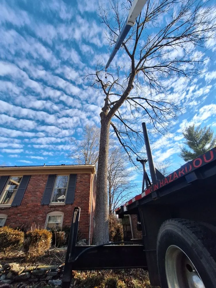 Custom landscape installation experts serving Shelbyville, KY - Ambition Tree Service And Landscaping