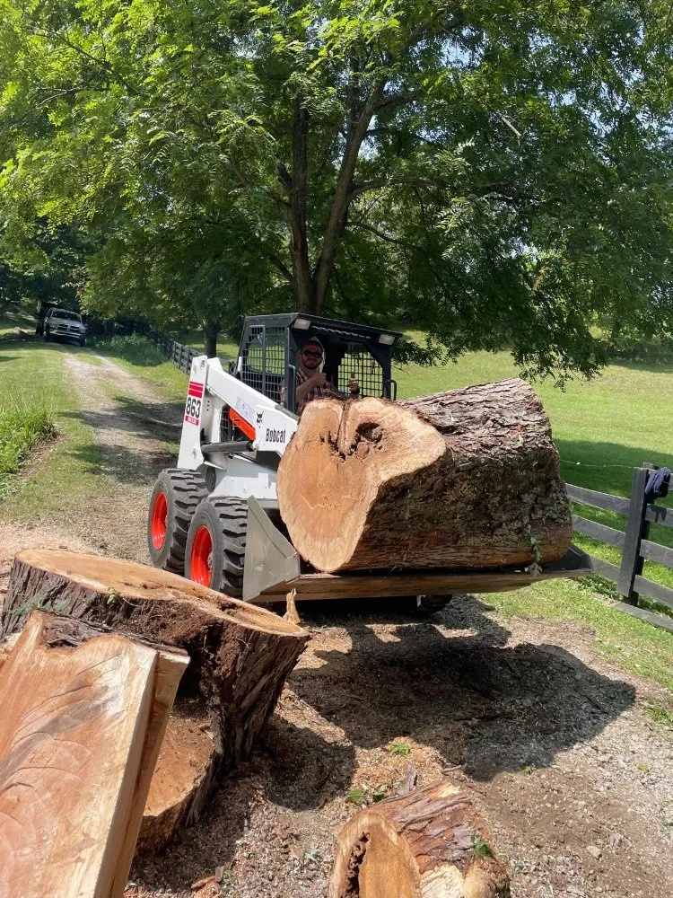 Top-rated outdoor landscaping in Shelbyville, KY - Ambition Tree Service And Landscaping