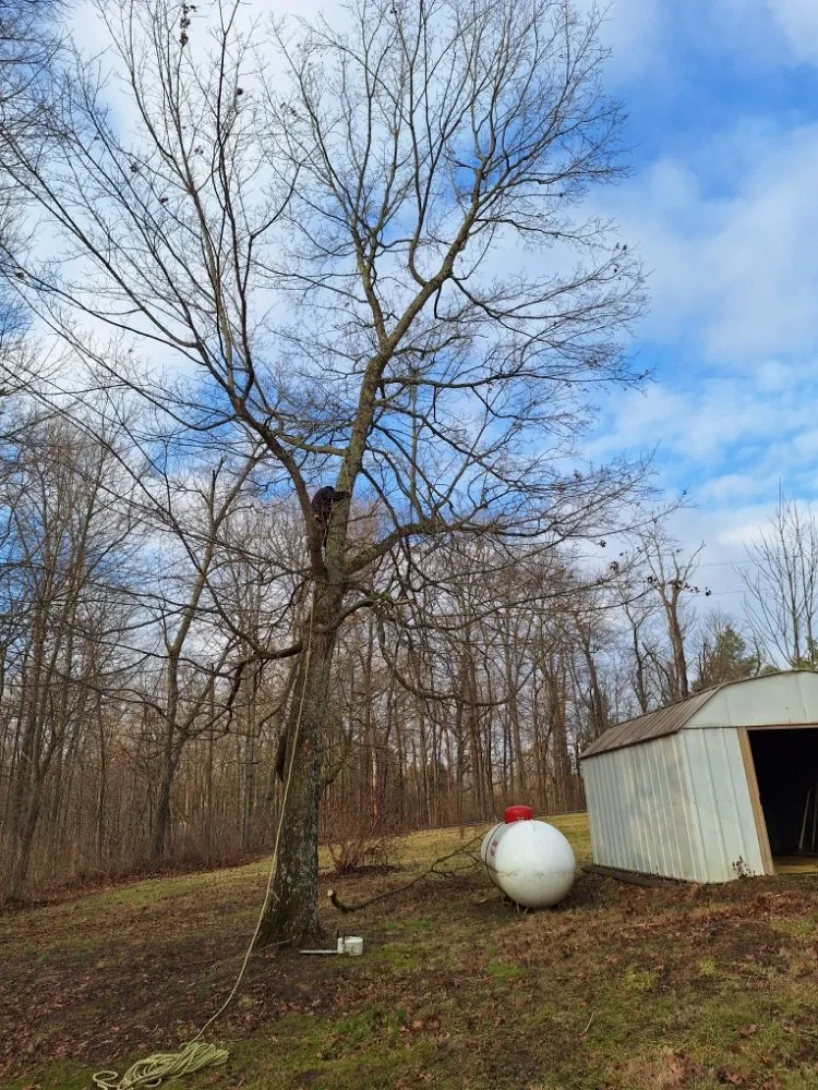 Expert lawn mowing service for homes in Shelbyville, KY by Ambition Tree Service And Landscaping