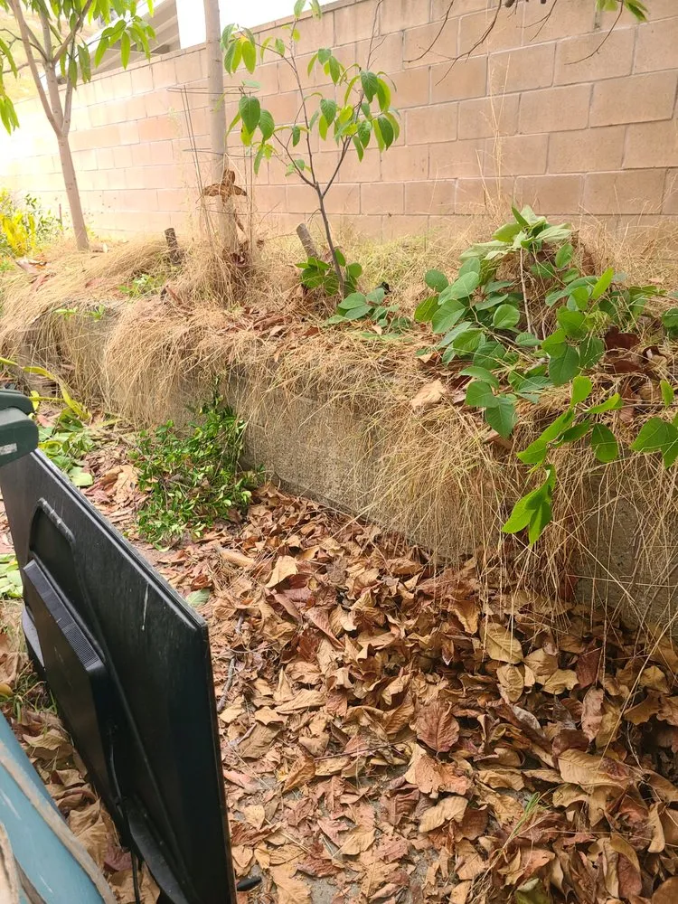 Local landscape design in Chula Vista, CA - Ambitious Loyalty Landscaping