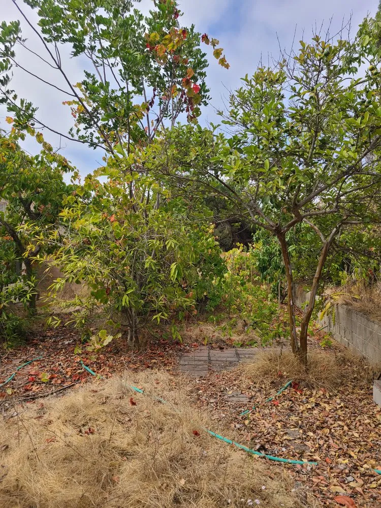 Expert landscape installation in Chula Vista, CA by Ambitious Loyalty Landscaping