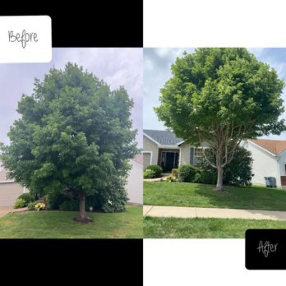 Reliable outdoor landscaping in Denver, CO - Ambitious Nature Tree Service