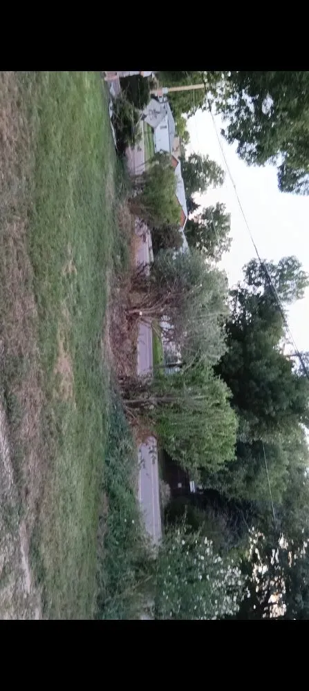 Expert landscape installation for residential properties in Denver, CO by Ambitious Nature Tree Service