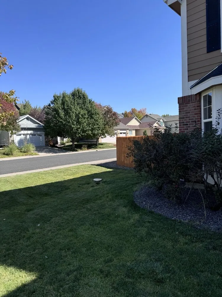 Professional landscape installation for homes in Denver, CO by Ambitious Nature Tree Service