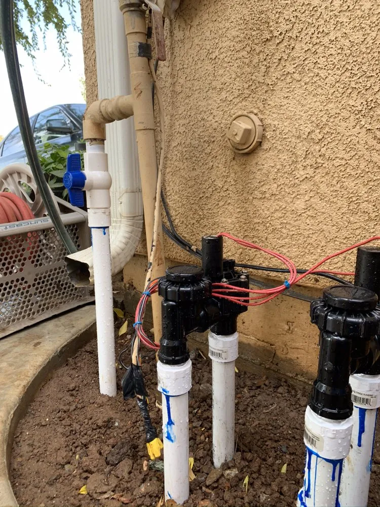 Top-rated yard cleanup service in Tulare, CA - Ambriz Lawn Care