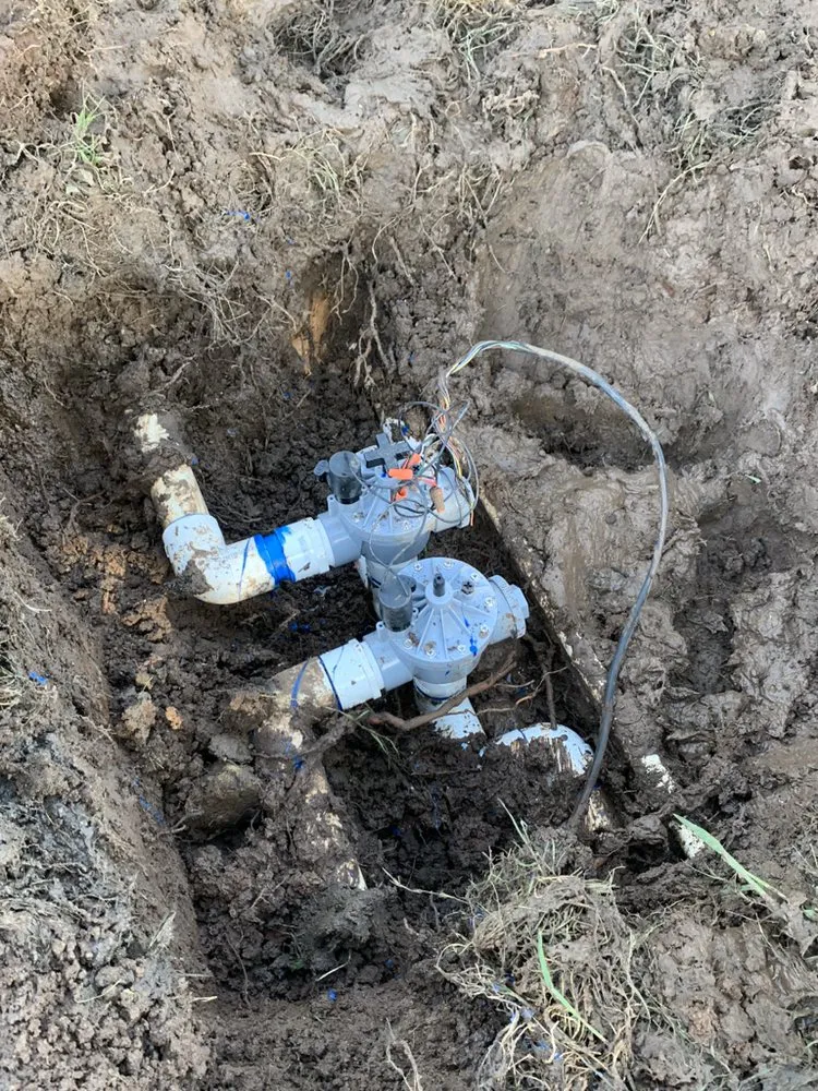 Affordable landscape design in Tulare, CA - Ambriz Lawn Care