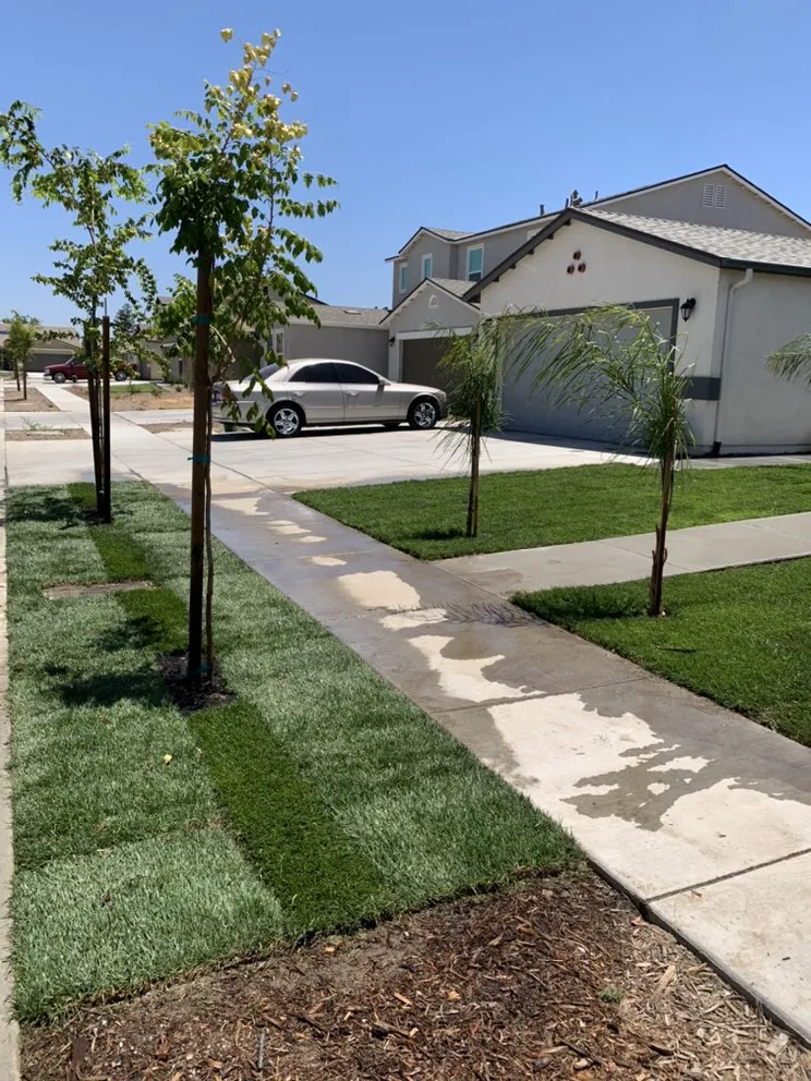 Local landscaping services in Tulare, CA - Ambriz Lawn Care