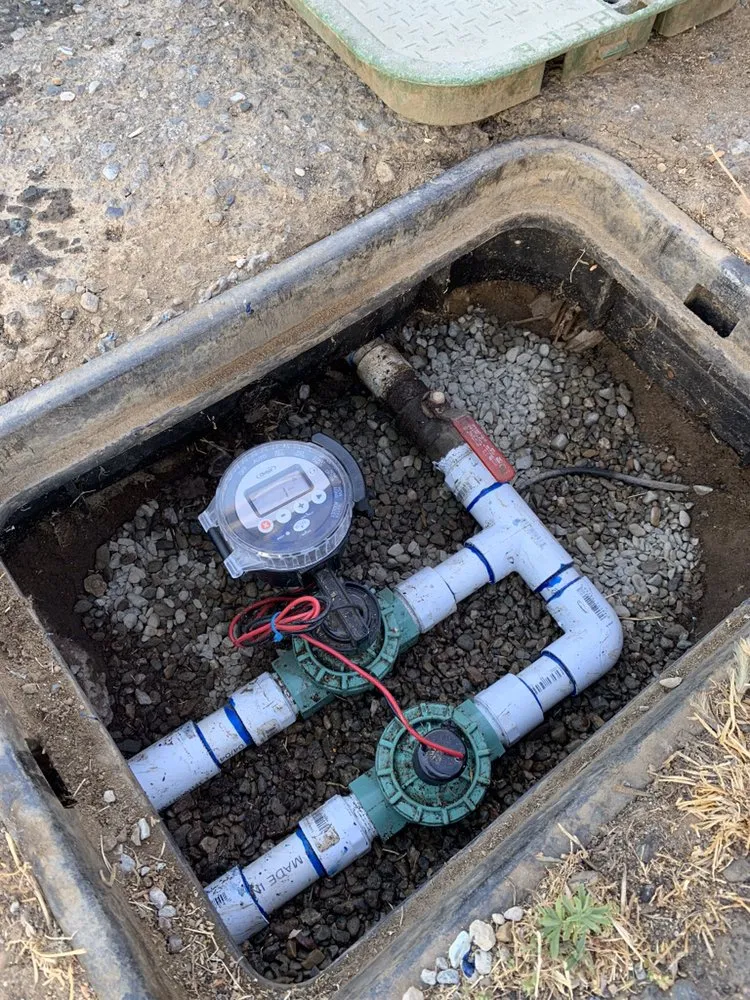 Reliable yard cleanup service in Tulare, CA by Ambriz Lawn Care