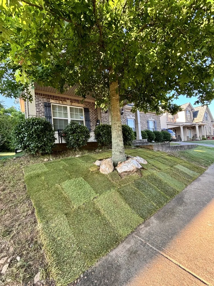Expert landscape installation for beautiful yards in Canton, GA by Ambrocio Landscaping