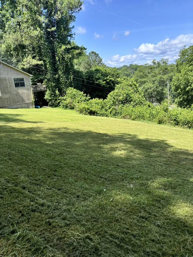 Trusted yard cleanup service for year-round maintenance across Canton, GA - Ambrocio Landscaping