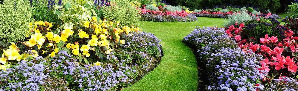 Custom landscaping services experts serving Severna Park, MD - Ambrose & Son