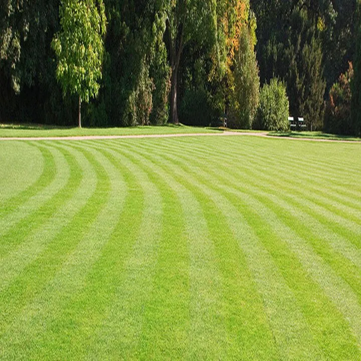 Custom garden landscaping in Severna Park, MD by Ambrose & Son
