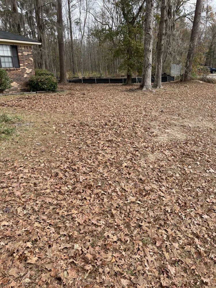 Reliable lawn care service in Guyton, GA by Ambrose’s on Midland