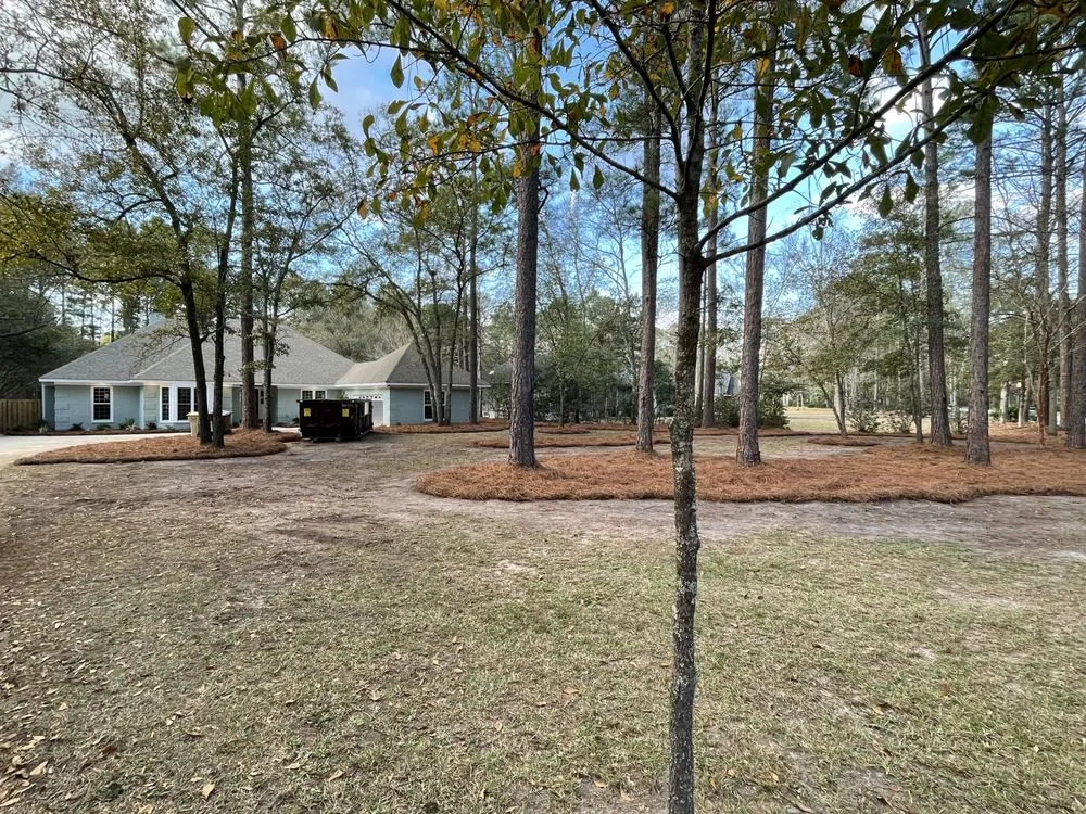 Expert lawn care service for residential properties across Guyton, GA - Ambrose’s on Midland