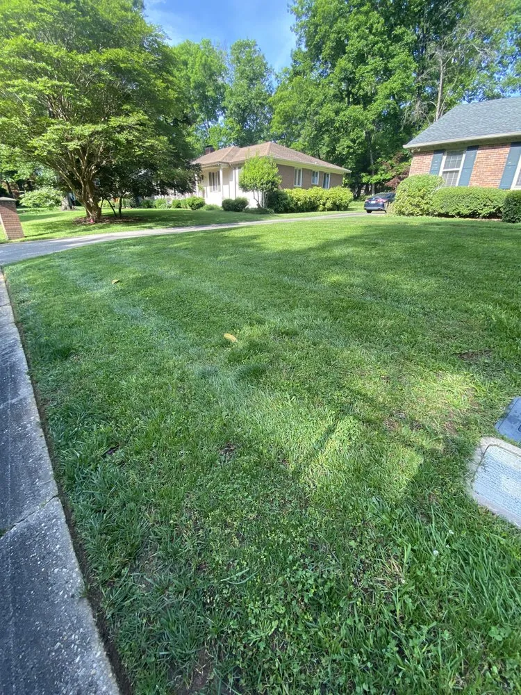 Top-rated landscaping services for outdoor upgrades in Charlotte, NC by Ambrosio Landscaping