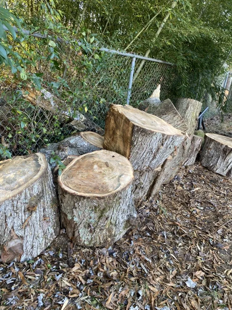 Local landscape installation experts serving Charlotte, NC - Ambrosio Landscaping