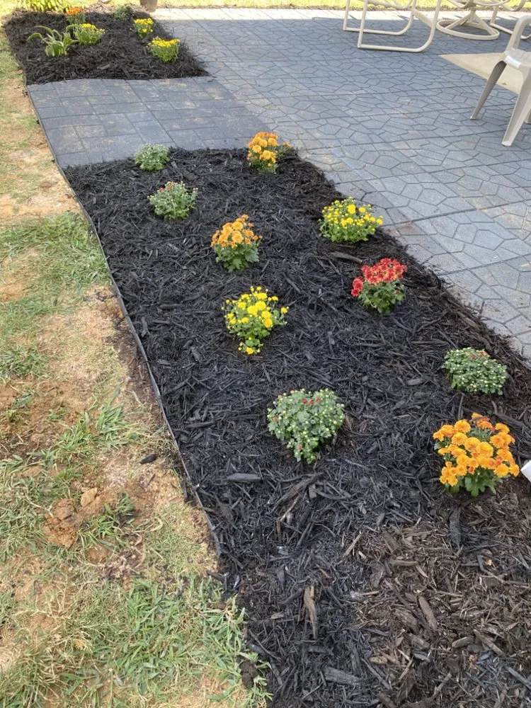 Affordable landscape installation near you in Charlotte, NC by Ambrosio Landscaping