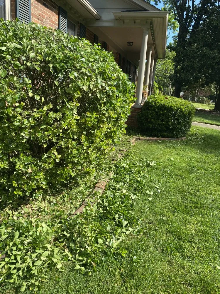 Reliable residential landscaping in Charlotte, NC - Ambrosio Landscaping