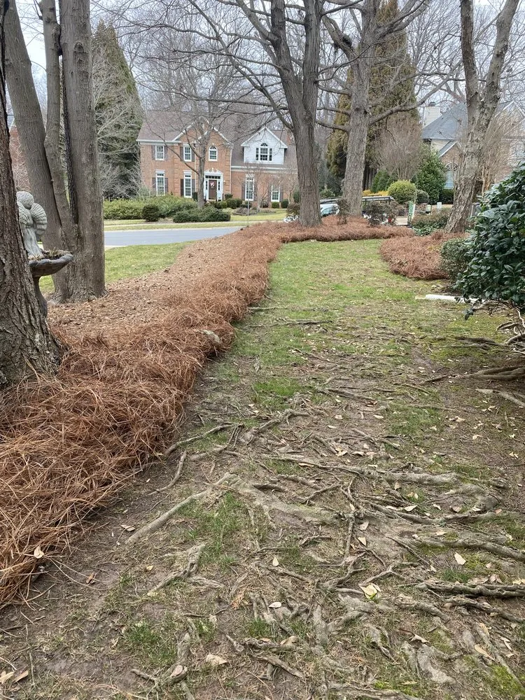 Reliable landscape installation for beautiful yards across Charlotte, NC - Ambrosio Landscaping