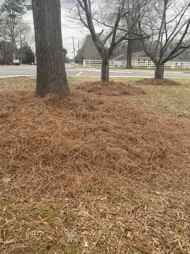 Local garden landscaping in Charlotte, NC - Ambrosio Landscaping