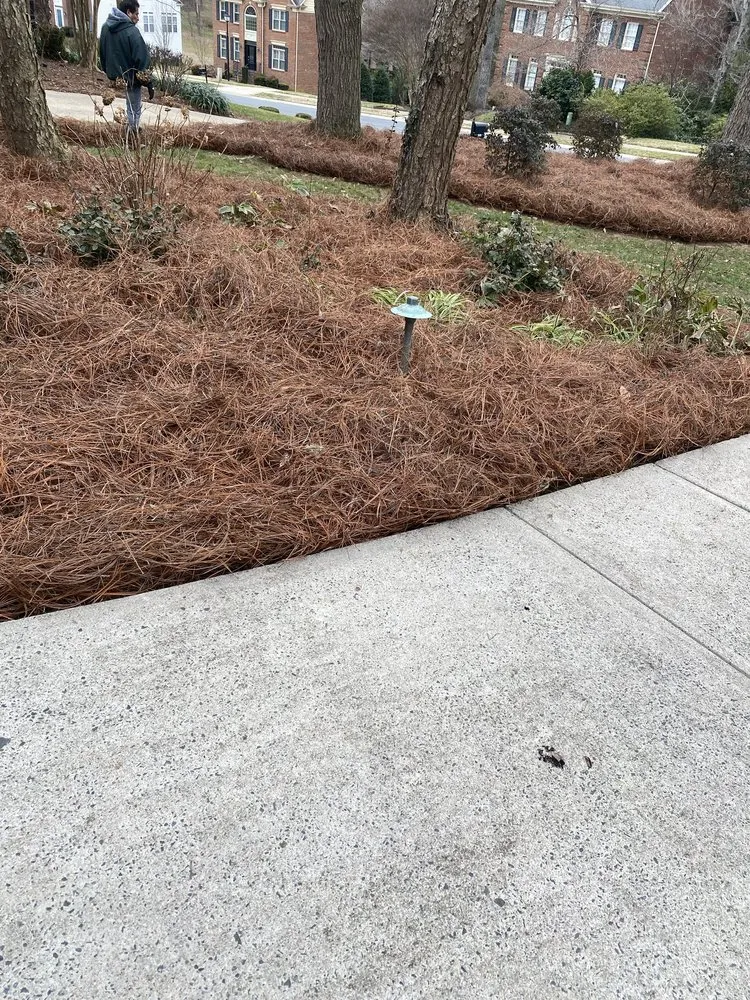 Expert outdoor landscaping for beautiful yards in Charlotte, NC by Ambrosio Landscaping