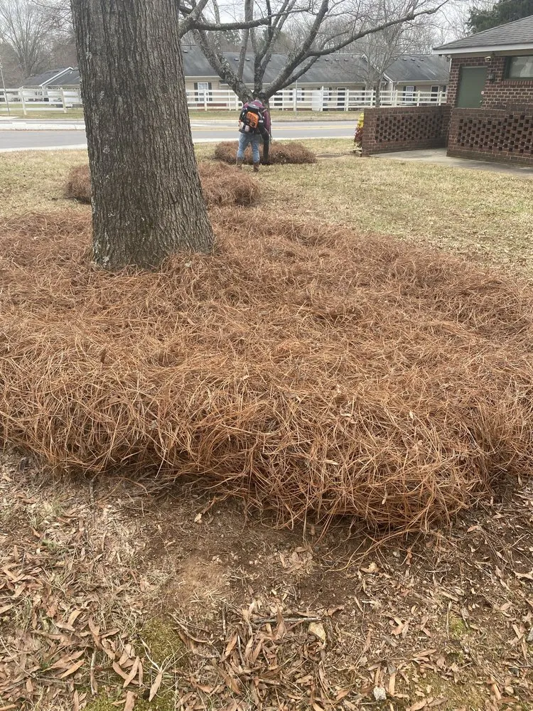 Local lawn care service in Charlotte, NC - Ambrosio Landscaping