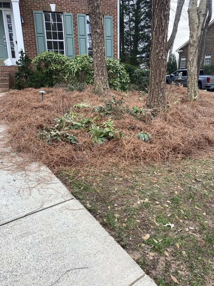 Top-rated yard cleanup service in Charlotte, NC by Ambrosio Landscaping