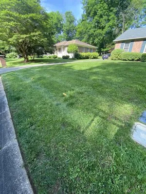 Ambrosio Landscaping Logo