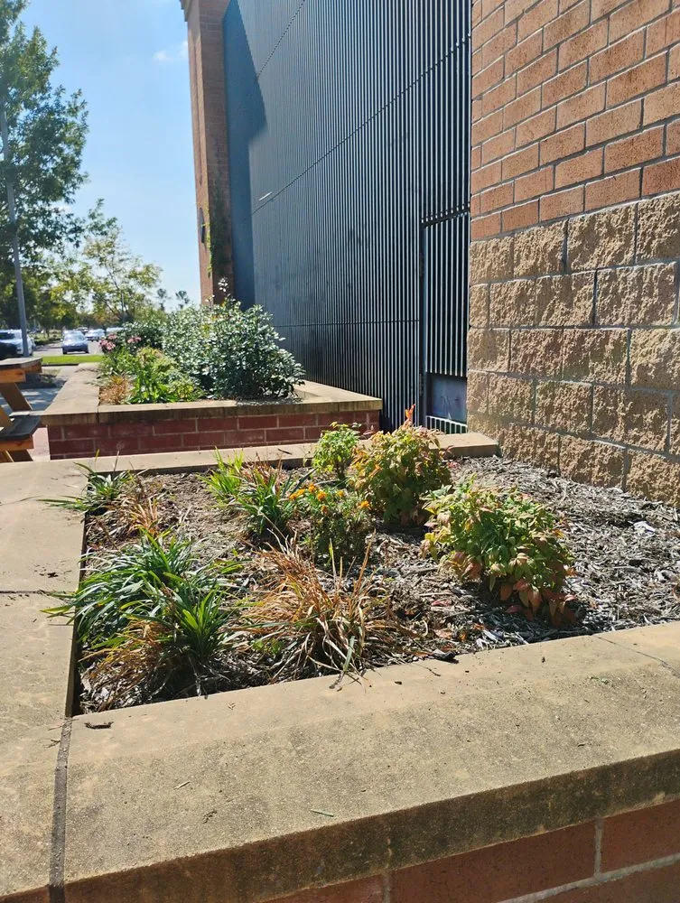 Trusted yard cleanup service in Memphis, TN - Ambrosio Lawn Care Service