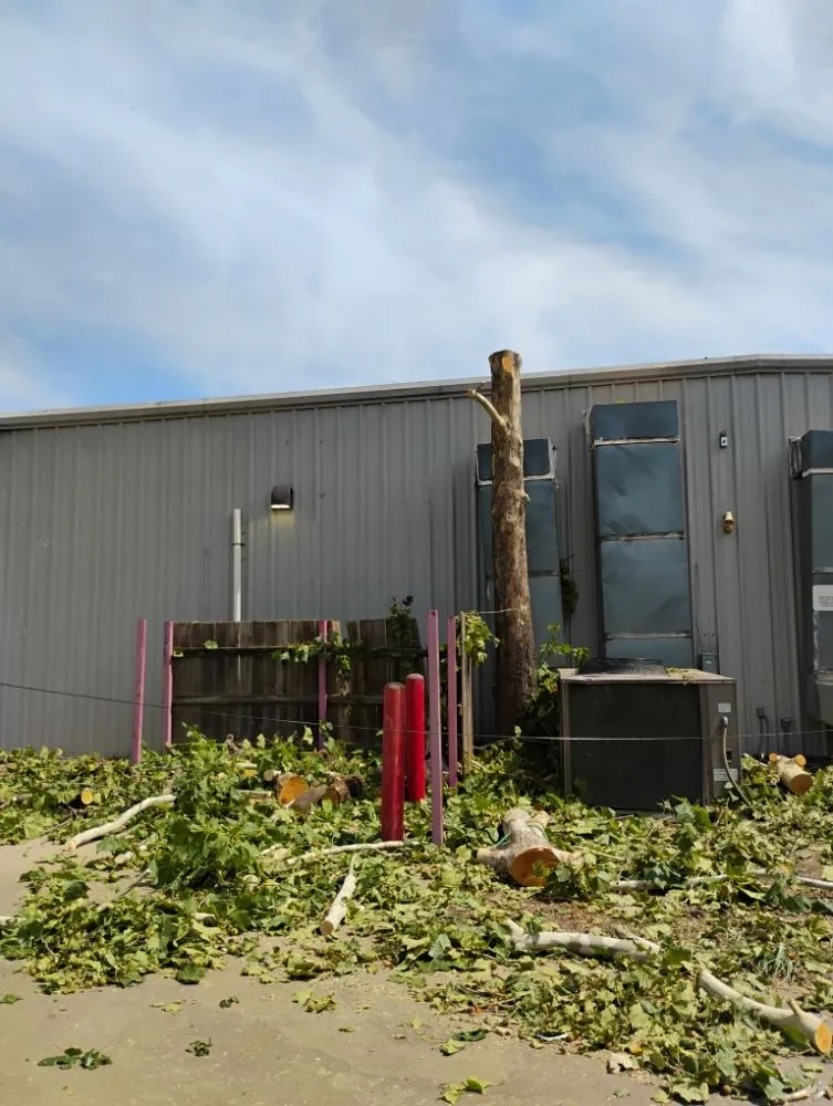 Reliable landscape installation for residential properties across Memphis, TN - Ambrosio Lawn Care Service