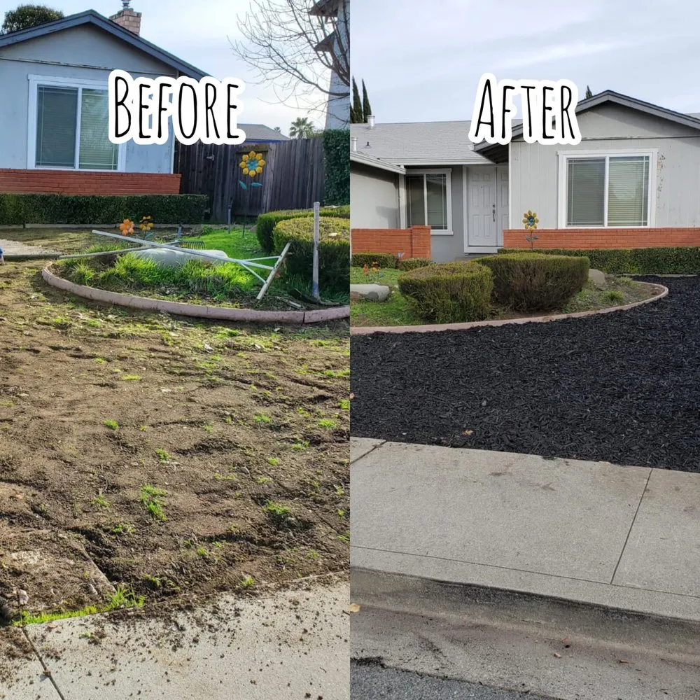Trusted lawn mowing service in Antioch, CA - Ambrosio’s landscaping service