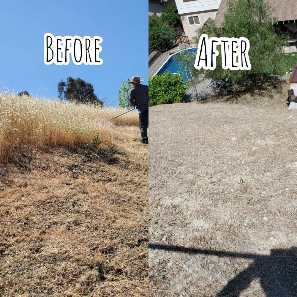 Professional lawn care service experts serving Antioch, CA - Ambrosio’s landscaping service