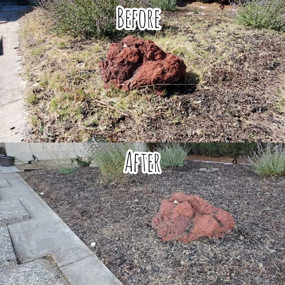 Trusted garden landscaping in Antioch, CA - Ambrosio’s landscaping service