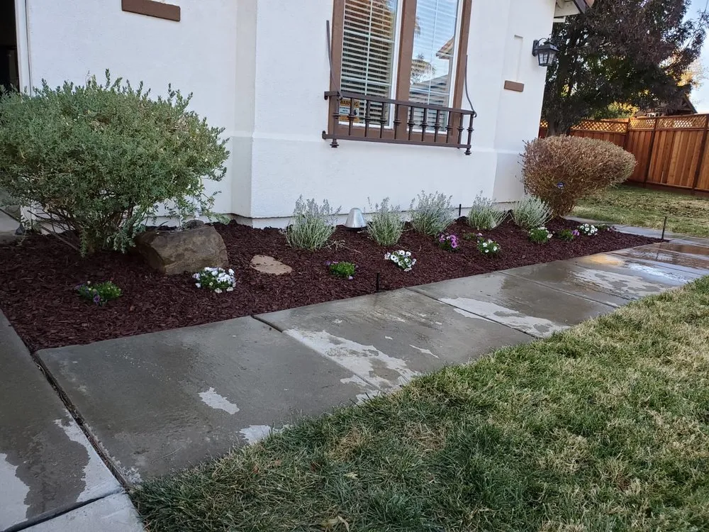 Expert yard cleanup service with custom design in Antioch, CA by Ambrosio’s landscaping service