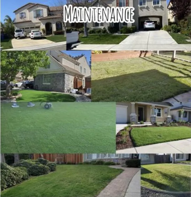 Expert lawn care service for homes in Antioch, CA by Ambrosio’s landscaping service