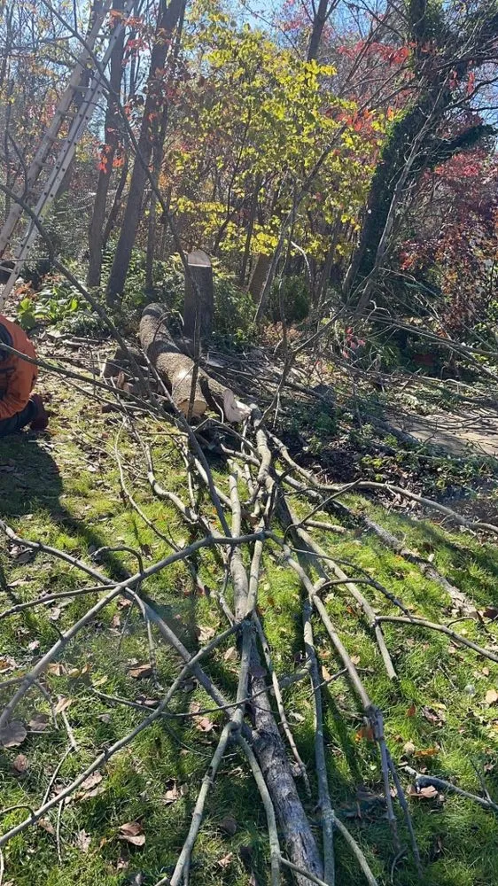 Affordable garden landscaping experts serving Princeton, NJ - Amby and Sons Landscaping