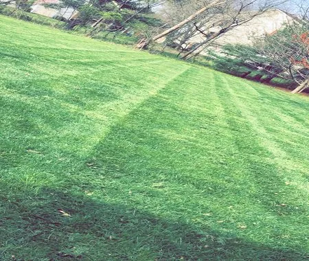 Top-rated residential landscaping in Princeton, NJ by Amby and Sons Landscaping