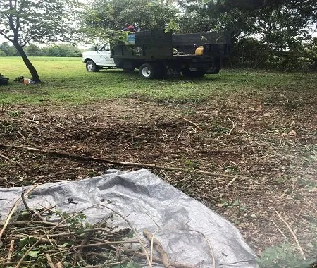 Trusted landscaping services experts serving Princeton, NJ - Amby and Sons Landscaping