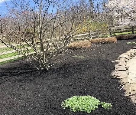 Local landscape installation in Princeton, NJ by Amby and Sons Landscaping