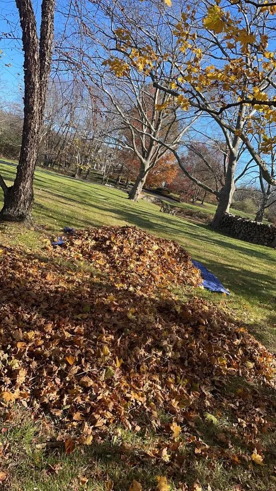 Top-rated garden landscaping in Princeton, NJ by Amby and Sons Landscaping