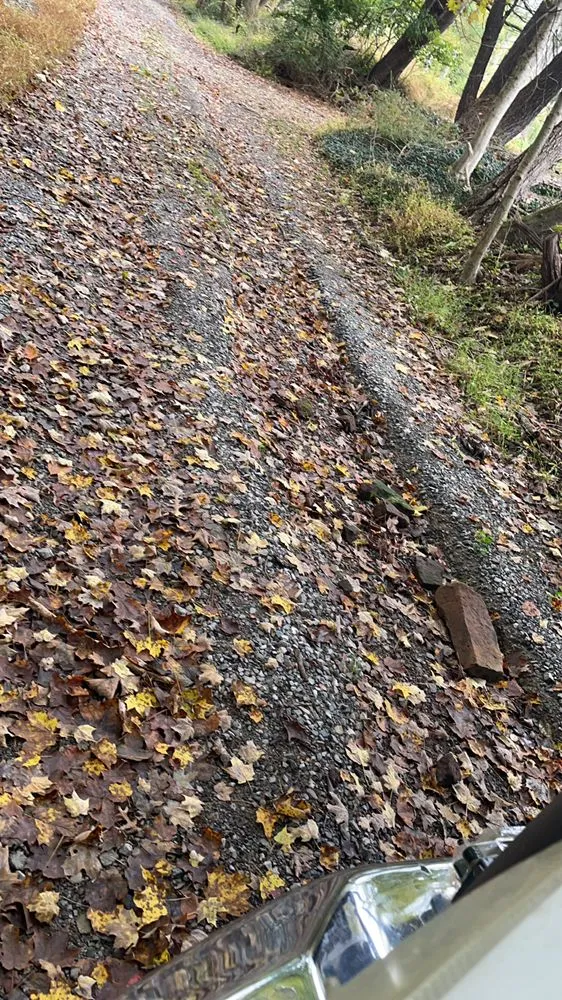 Top-rated lawn care service for beautiful yards in Princeton, NJ by Amby and Sons Landscaping