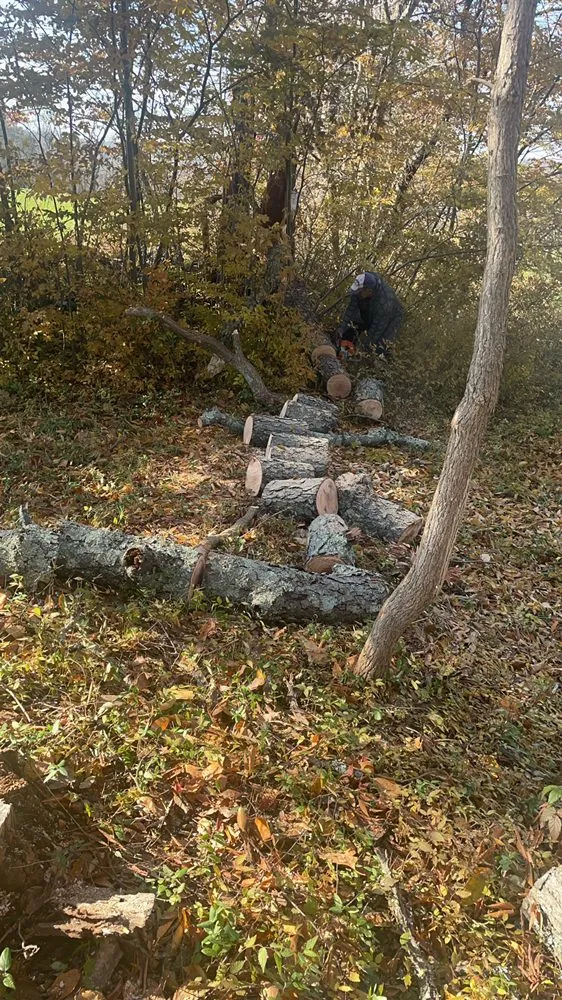 Affordable outdoor landscaping in Princeton, NJ - Amby and Sons Landscaping