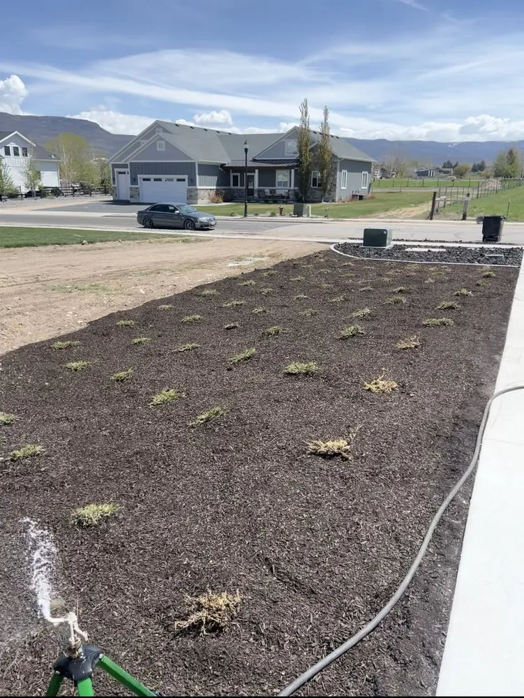 Local landscape design for residential properties across Daniel, UT - AMC
