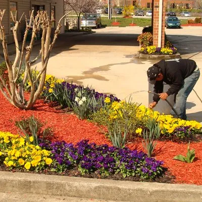 Custom landscaping services in Greensboro, NC by AMC Group