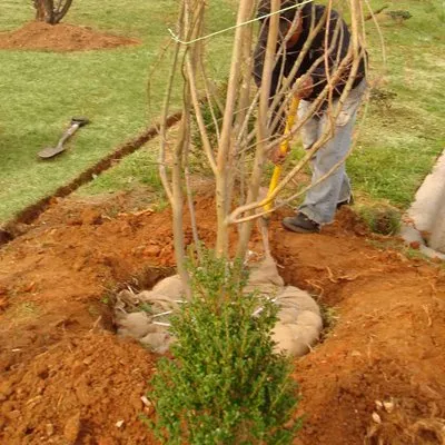 Affordable outdoor landscaping for residential properties across Greensboro, NC - AMC Group