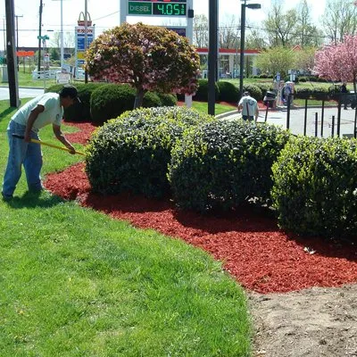 Reliable landscape design for beautiful yards in Greensboro, NC by AMC Group