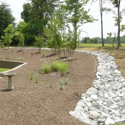 Professional residential landscaping for year-round maintenance in Greensboro, NC by AMC Group